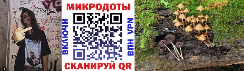 Галлюциногенные грибы MAGIC MUSHROOMS  Волгодонск 