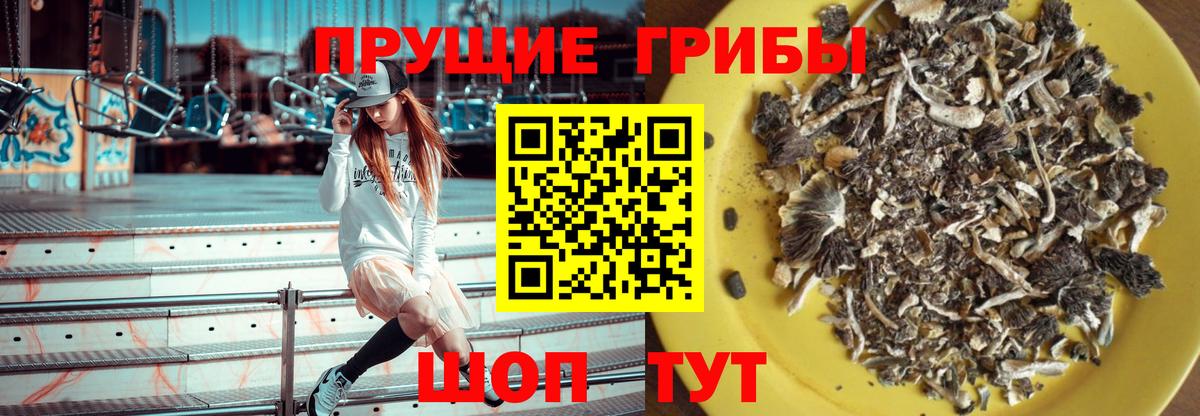 Псилоцибиновые грибы мухоморы Волгодонск